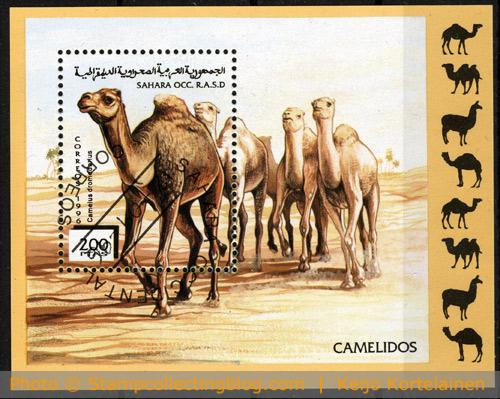 Bogus: Sahara OCC RASD souvenir sheet - Camels
