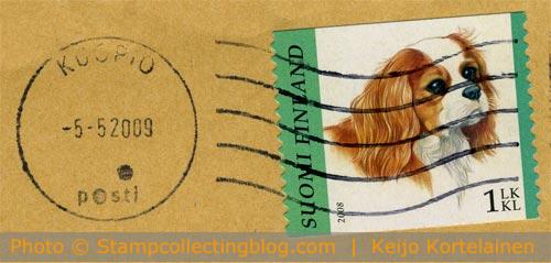 Finland 2008 - King Charles spaniel on postage stamp