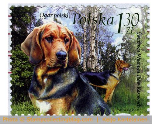 Poland 2006 - Polish hound Poland 2006 - Polish hound