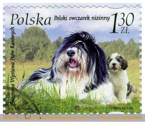 Poland 2006 - Polish lowland sheepdog Poland 2006 - Polish lowland sheepdog