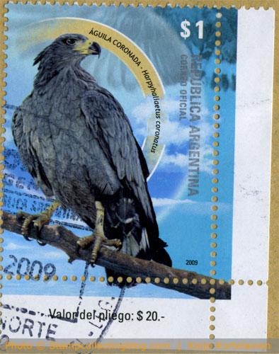 2009 Argentina - Eagle stamp 2009 Argentina - Eagle stamp