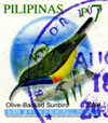 Philippines 2009 bird definitives