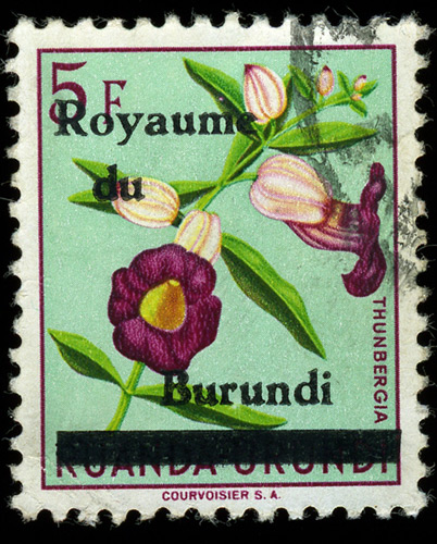 1962 Burundi. Stamp of Ruanda-Urundi overprinted for Kingdom of Burundi.  A total of 24 Ruanda-Urundi stamps were overprinted like this; all are of low catalog value (but apparently so damn hard to find in used condition). 