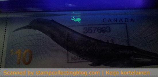 2010 Canada. $10 Whale. A diver (in right proportion) and a large cluster of krill (on the right edge of stamp) are visible only under UV-lamp. 2010 Canada. $10 Whale. A diver (in right proportion) and a large cluster of krill (on the right edge of stamp) are visible only under UV-lamp.